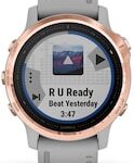 Garmin Fenix 6S Smartwatch (Grey Strap, 31mm)
